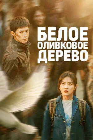Белое оливковое дерево (2025) - смотреть онлайн